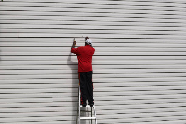 Affordable Siding Repair and Maintenance Services in Horatio, AR